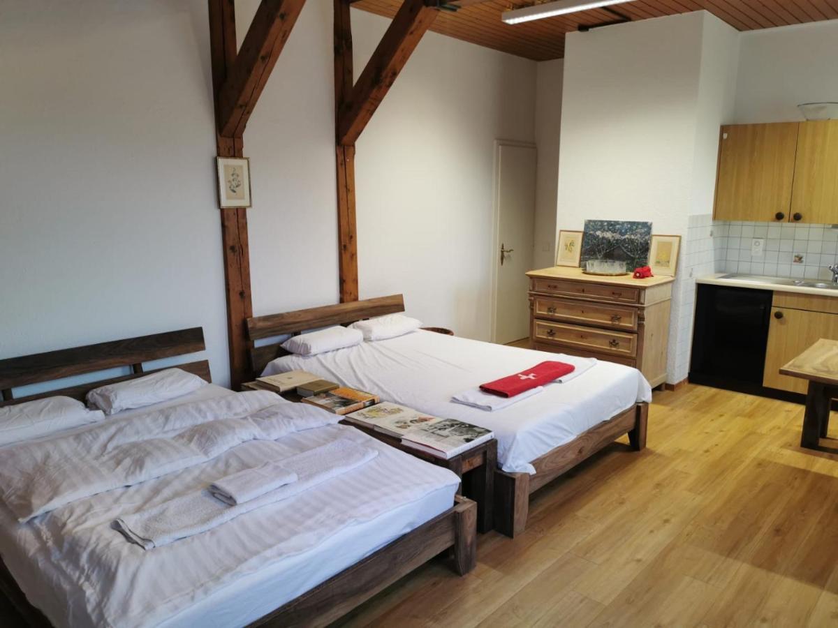 Simple Studio 36M2 In The Center Of Burgdorf Private Parking Small Bathroom المظهر الخارجي الصورة